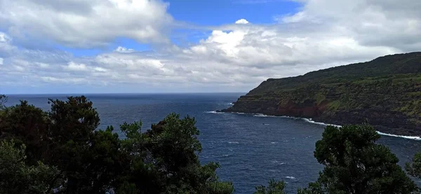 Utsikt Över Udden Från Terceira Island Genom Tät Vegetation Mitt — Stockfoto