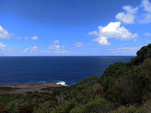 Výhled Ostrova Terceira Směrem Oceánu Přes Vegetaci Prvky Města Některé — Stock fotografie