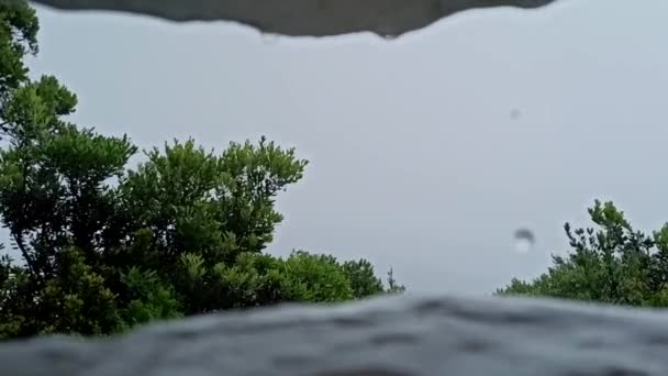 Meerblick Von Der Terceira Walbeobachtung Bei Regen Und Starkem Wind — Stockvideo