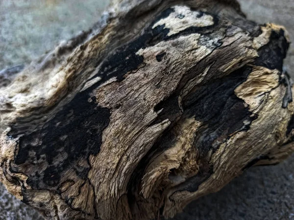 Old Pieces Wood Eaten Termites Tree Bark Wood Texture Some — Photo