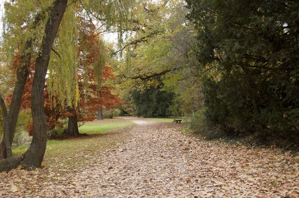 Parkta sonbahar manzarası