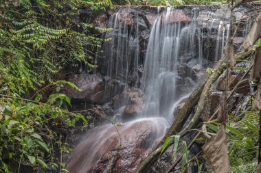 Ormanda güzel bir şelale