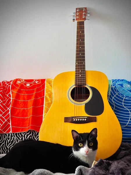 Gato Bonito Sexy Com Coração Vermelho Uma Guitarra — Fotografia de Stock