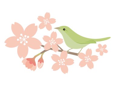 Kiraz çiçeklerinin ve ötleğenlerinin vektör çizimi