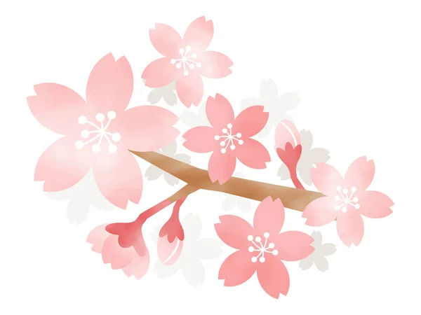 Векторна Ілюстрація Вишневих Квітів Акварелі — стоковий вектор