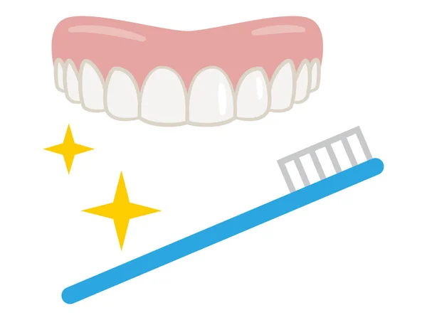 Ilustración Vectorial Prótesis Dentales Cepillo Dientes — Archivo Imágenes Vectoriales
