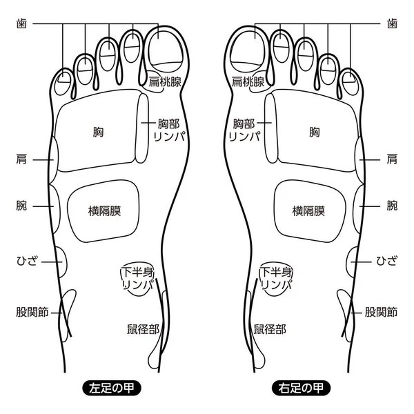 リフレクソロジーフットマッサージポイントリフレクソロジーゾーン マッサージサインや色のポイント — ストックベクタ