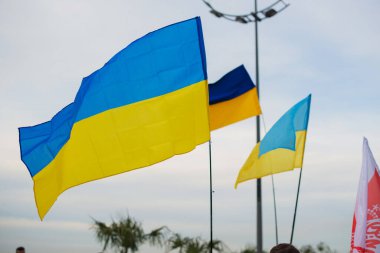 Ukrayna 'ya destek veren Ukrayna bayrağı taşıyan sarı ve mavi gökyüzü, savaş protestosu yok.