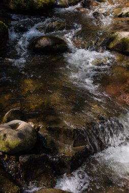 Kayalıklardaki yosunlar şelale nehri akar.