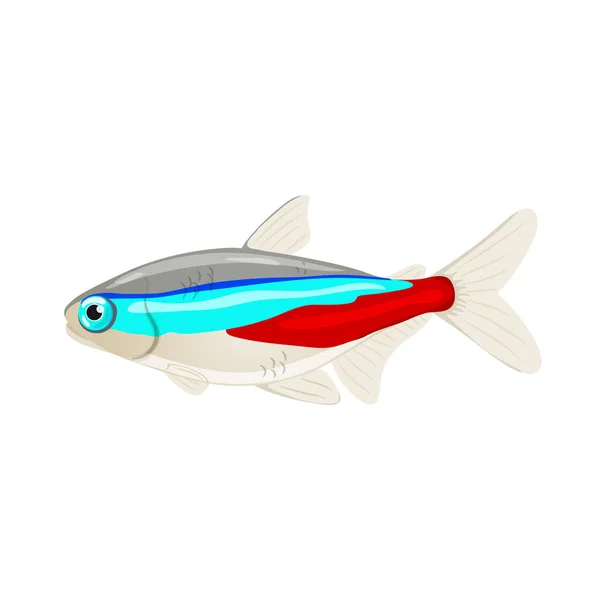 Illustration vectorielle du tétra néon d'aquarium d'eau douce, — Image vectorielle