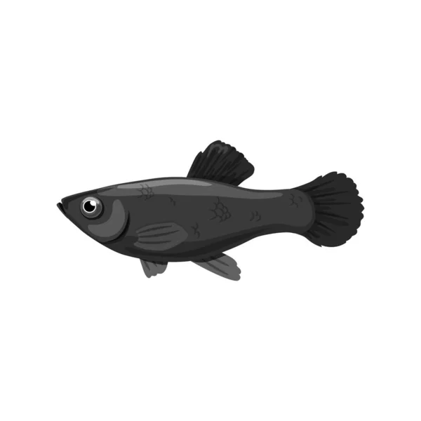 Czarna, słodkowodna ryba odizolowana na białym tle. Realistyczny styl — Wektor stockowy