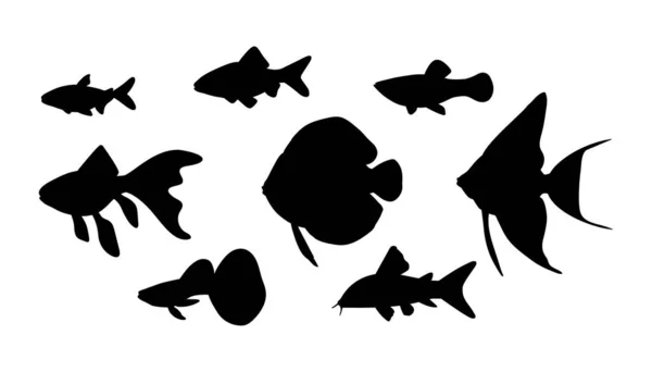 Vector ενυδρείο ψάρια σε μαύρη σιλουέτα απομονώνονται σε λευκό φόντο. — Διανυσματικό Αρχείο