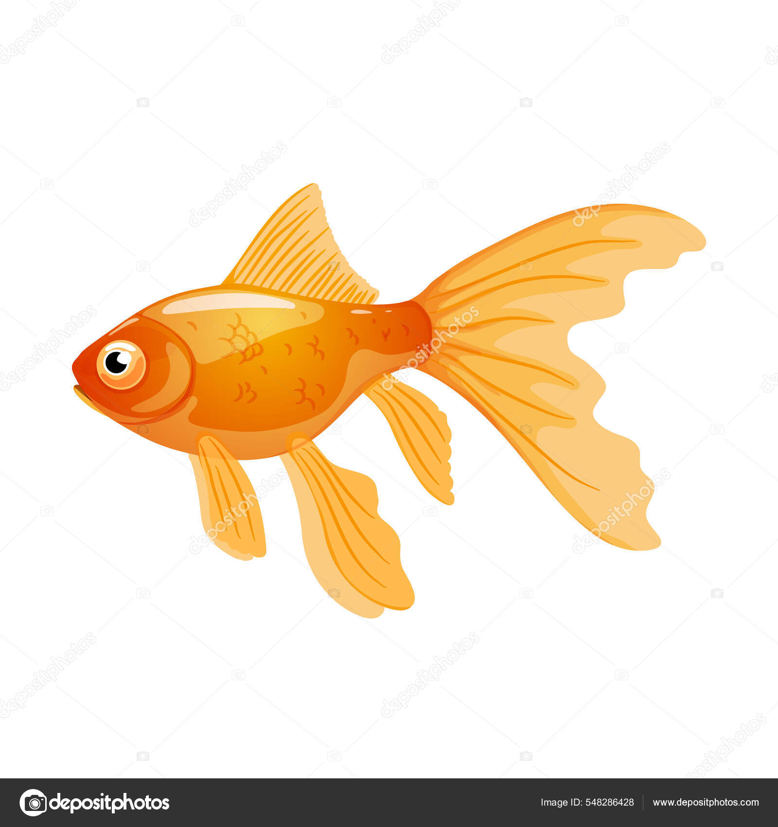 Pez Dorado Aislado Sobre Fondo Blanco Ilustración Vectorial Peces Acuario  Vector de stock #548286428 de ©cottidie.gmail.com, image size:1600x1700