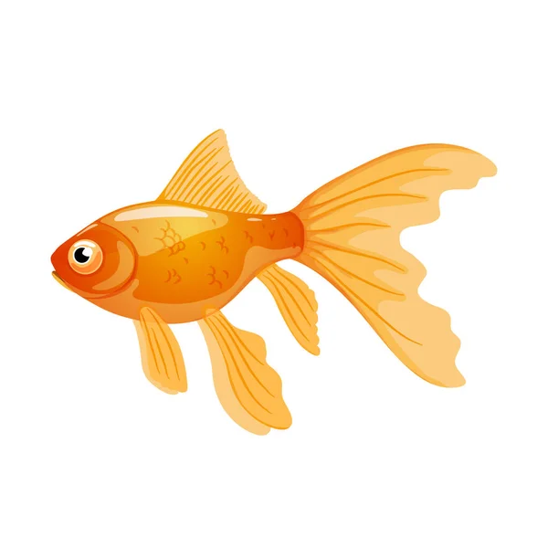 Enkele Goudvis Geïsoleerd Witte Achtergrond Vector Illustratie Van Aquariumvissen Realistische — Stockvector