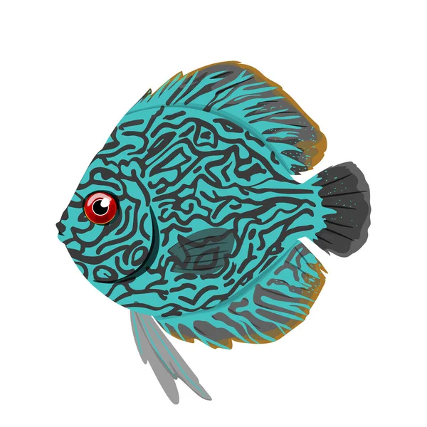 Acuario disco, ilustración única de peces de agua dulce en dibujos animados realistas. — Vector de stock