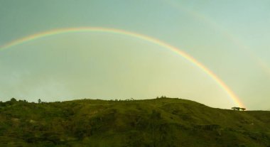 Arkaplanda, denizin üzerinde yeşil bir tarla.