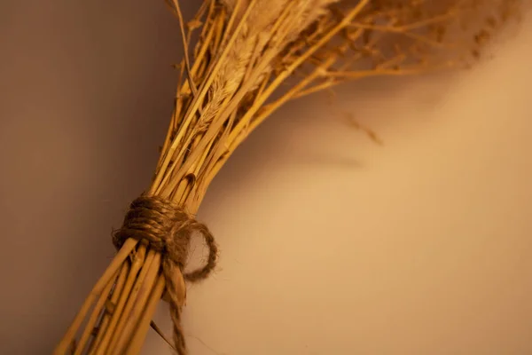 İple bağlanmış bir yığın ölü odun. Ev dekorasyonunda kullanılır..