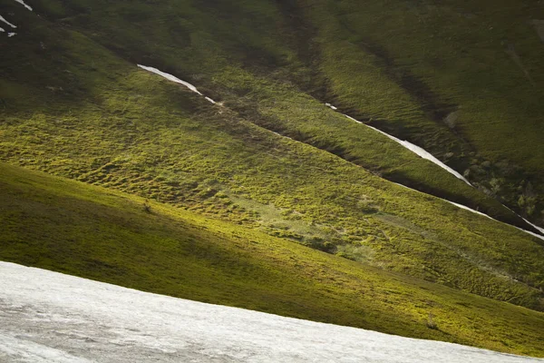 Dağ yamacında yeşil çalı böğürtlenleri, karlı bölgelerde buzullar.