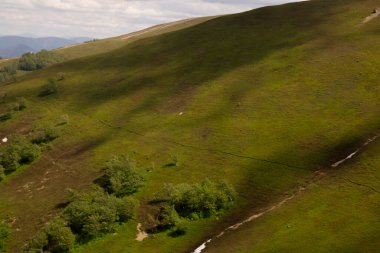 Dağ yamacında yeşil çalı böğürtlenleri, karlı bölgelerde buzullar.