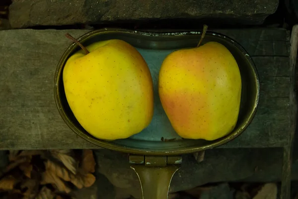 Gri arka planda bir kamp çanağında iki sarı elma.