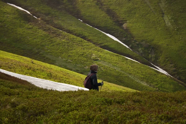 Bir gezgin karda dağ geçitlerinden geçer..