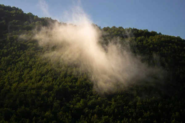 Güzel bir yaz gününde bulutlar orman manzarasının üzerine dökülür..