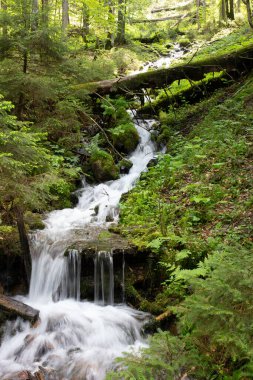 Carpathian dağlarında şelale, Chumal 'ovo