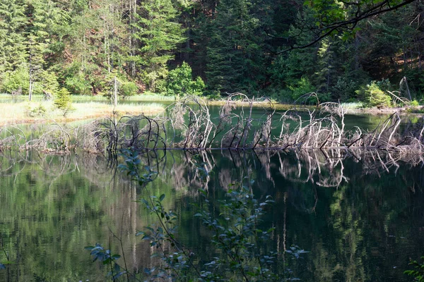 Beautiful View Carpathians Lake — Stock Photo, Image