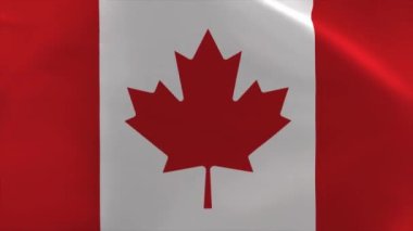 Kanada Dalgalanan Bayrak 4K Taşıma Duvar Kağıdı Arkaplanı