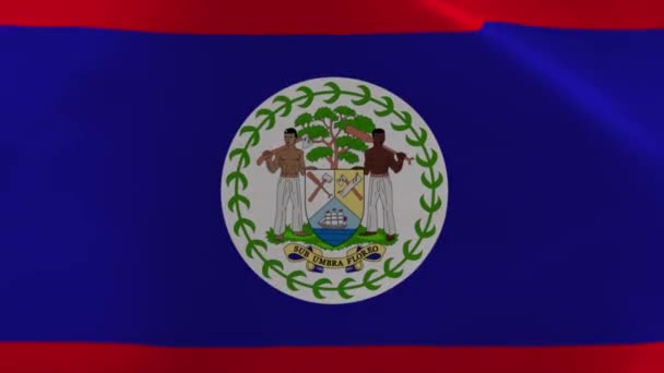 Belize Viftande Flagga Rörlig Bakgrundsbild — Stockvideo