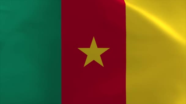 Cameroon Waving Flag Moving Wallpaper Background — Stockvideo