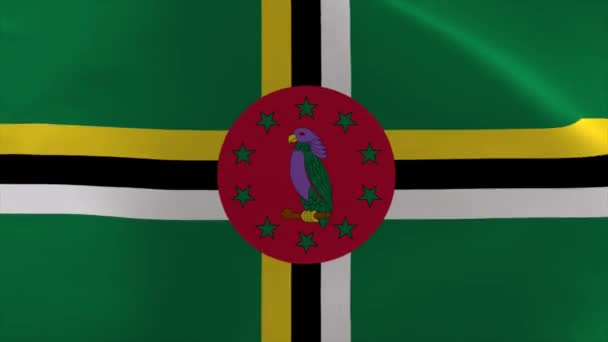 Dominica Waving Flag Moving Wallpaper Background — 비디오
