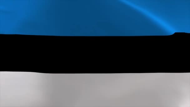 Estonian Waving Flag Moving Wallpaper Background — стоковое видео