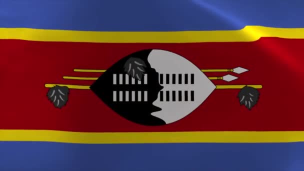 Eswatini Swaziland Waving Flag Moving Wallpaper Background — 비디오
