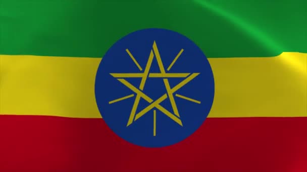 Ethiopia Waving Flag Moving Wallpaper Background — Stockvideo