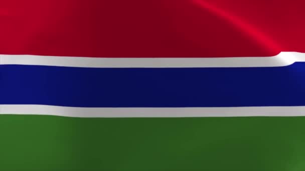 Γκάμπια Κυματίζει Σημαία Animation Κινούμενο Φόντο Ταπετσαρία — Αρχείο Βίντεο