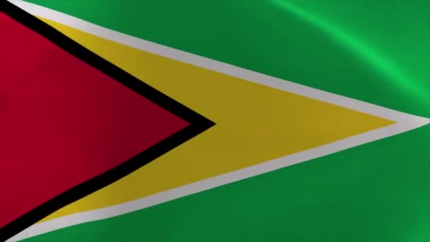 Guyana Waving Flag Animation Moving Wallpaper Background — Stockvideo