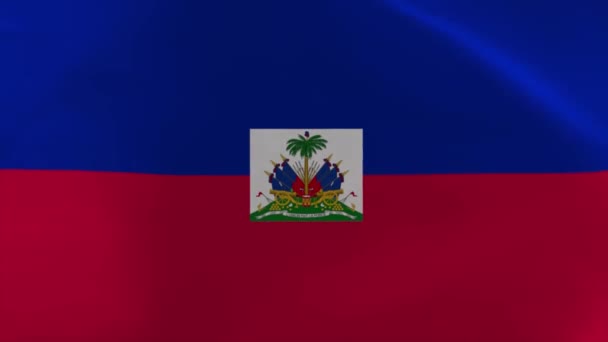 Haiti Waving Flag Animation Moving Wallpaper Background — Stockvideo