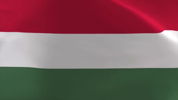 Ουγγαρία Κυματίζει Σημαία Animation Κινούμενο Φόντο Ταπετσαρία — Αρχείο Βίντεο