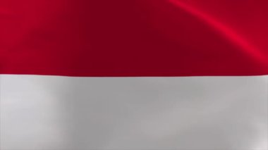 Monaco Dalgalanan Bayrak Canlandırması 4K Taşıma Duvar Kağıdı Arkaplanı
