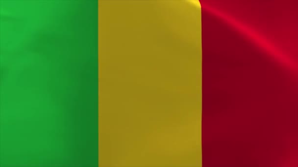 Mali Waving Flag Animation Moving Wallpaper Background — ストック動画