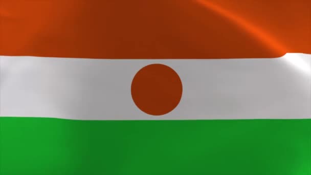 Niger Waving Flag Animation Moving Wallpaper Background — Vídeo de stock
