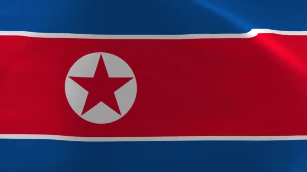 North Korea Waving Flag Animation Moving Wallpaper Background — стокове відео