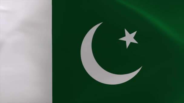 Пакистан Хвильовий Прапор Animation Moving Wallpaper Background — стокове відео