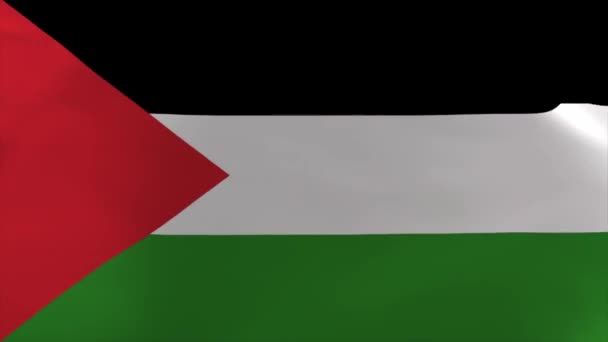 巴勒斯坦波浪旗帜动画4K移动墙纸背景 — 图库视频影像