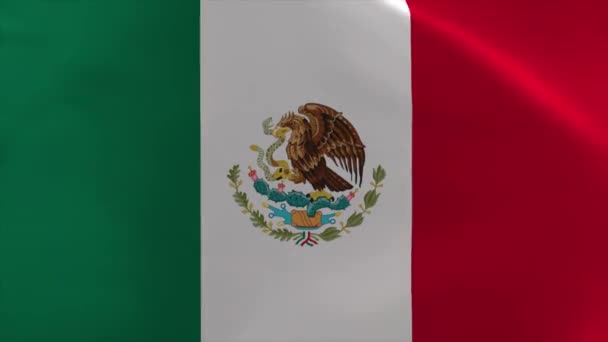 Mexico Waving Flag Animation Moving Wallpaper Background — Stock Video