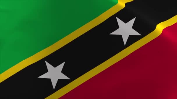 Saint Kitts Nevis Waving Flag Animation Moving Wallpaper Background — стокове відео