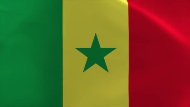 Senegal Waving Flag Animation Moving Wallpaper Background — Stock videók