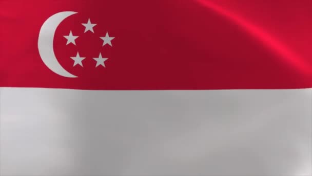 Singapore Waving Flag Animation Moving Wallpaper Background — стокове відео