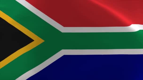 South Africa Waving Flag Animation Moving Wallpaper Background — Stock video